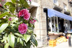 christina robin hoods bay 18 sm.jpg